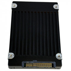 Dell / SK Hynix PS1010 7.68TB U.2 NVMe SSD Interface