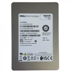 Dell / SK Hynix PE8110...
