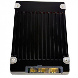 Dell / SK Hynix PS1030 6.4TB U.2 NVMe SSD Interface