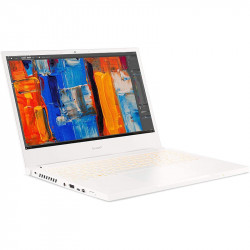 Acer ConceptD 3 Pro CN314-72P-74FL Notebook Left