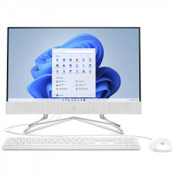 HP All-in-One 22-dd0000na PC Screen