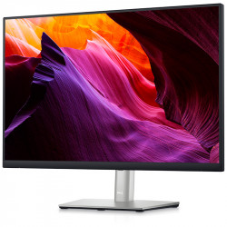 Dell 24 Monitor P2423