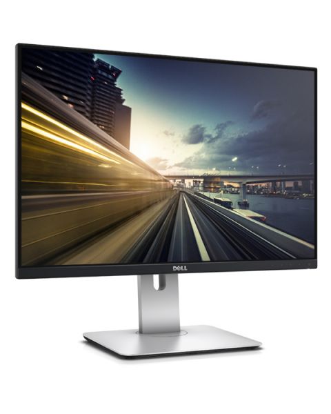 Dell U2415 24